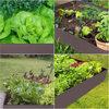 Garden Steel Edge/Steel Landcape Edging 