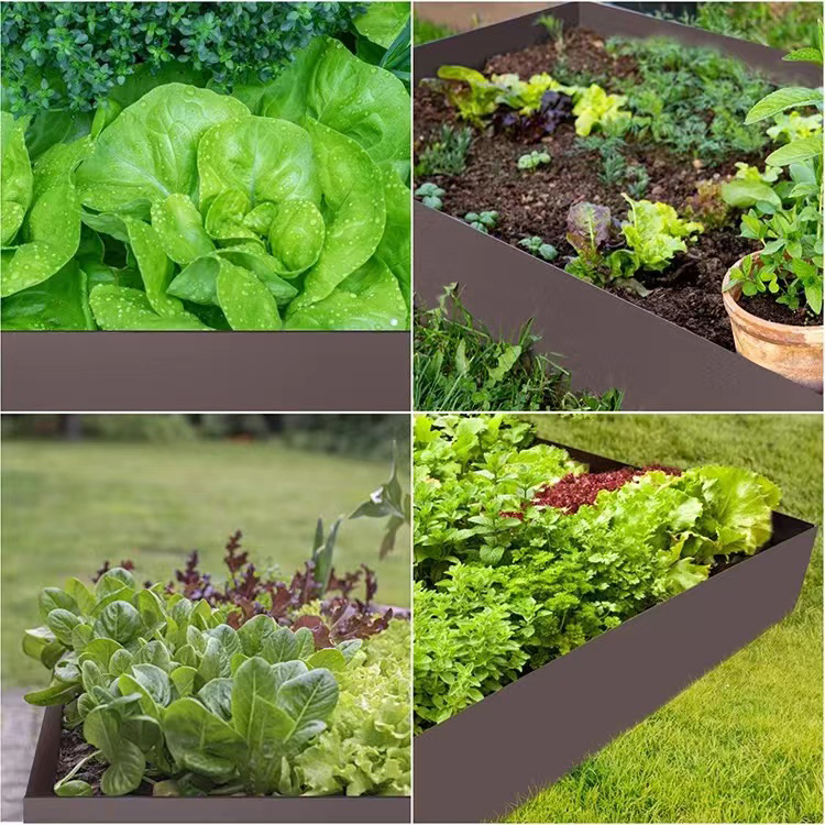 Garden Steel Edge/Steel Landcape Edging 