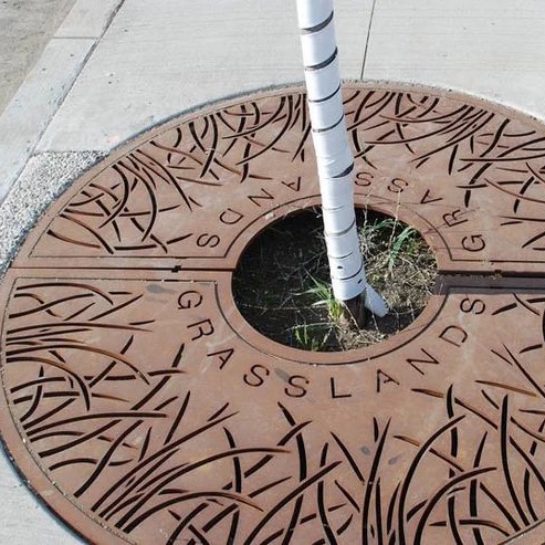 Steel Grate for Tree